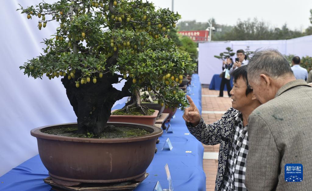 诚信星力平台注册送分